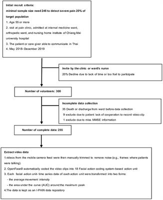 Classification of elderly pain severity from automated video clip facial action unit analysis: A study from a Thai data repository
